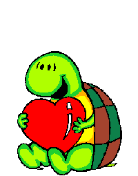 tortue